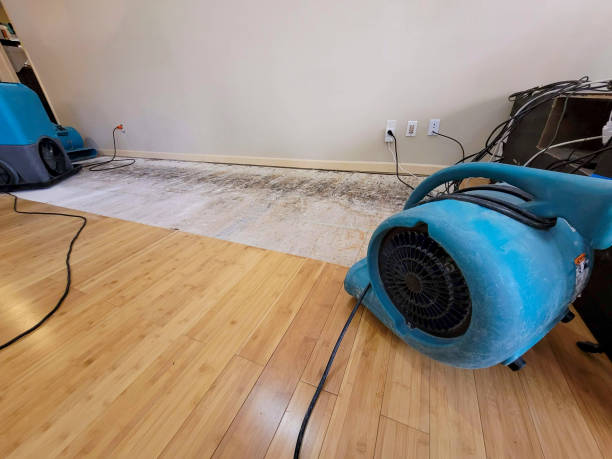 Professional Structural Drying technician working in Diamond, MO